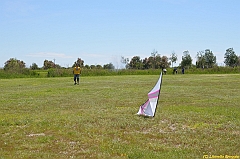 Venice kite festival_0089